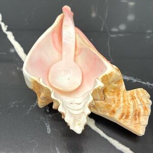 Conch Shell Pink and Cream Asymmetric Plate and Spoon from Belize Hand-carved